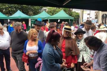 Día de Canarias en Telde, en imágenes (II) (Foto TA e Ildefonso Rodríguez)